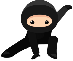 a ninja in a crouching pose