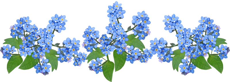 three sets of blue flowers